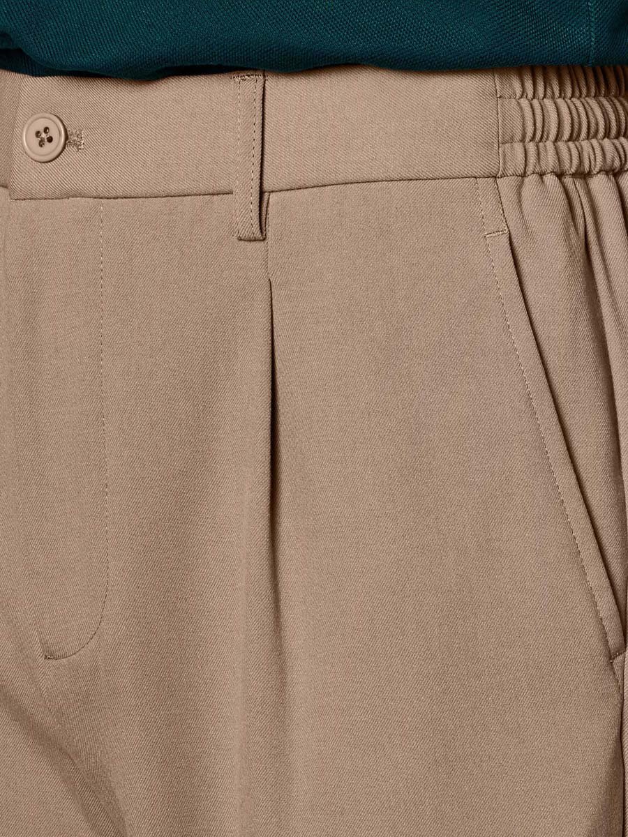 Men Regular Fit Pleated Trousers