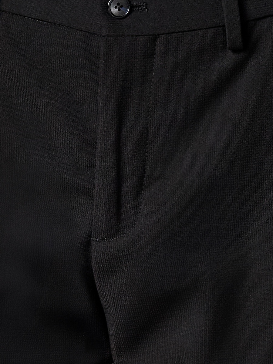 Men Regular Fit Dobby Formal Trousers