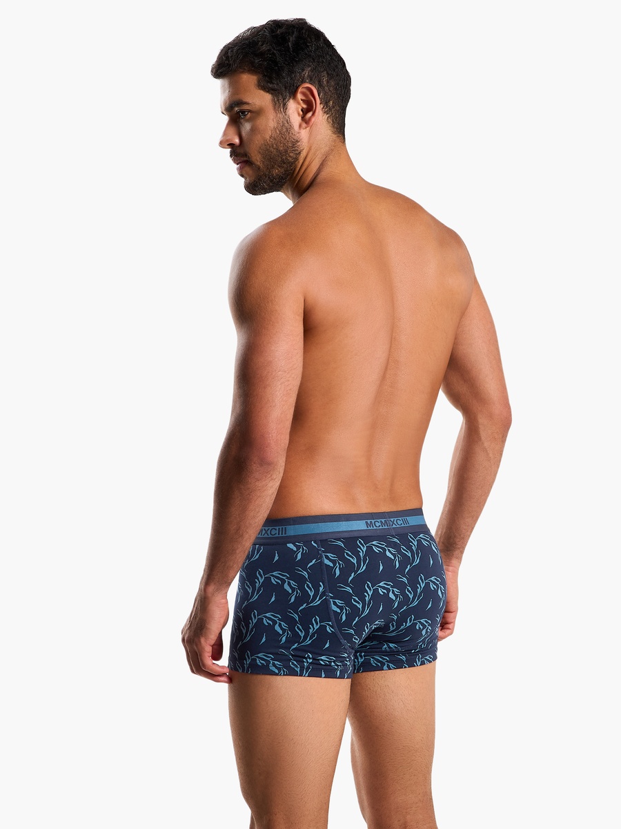 Men Assorted Hipster Briefs - Pack of 3