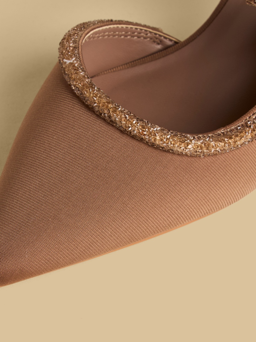 Embellished Pointed Toe Shoes with Stiletto Heels