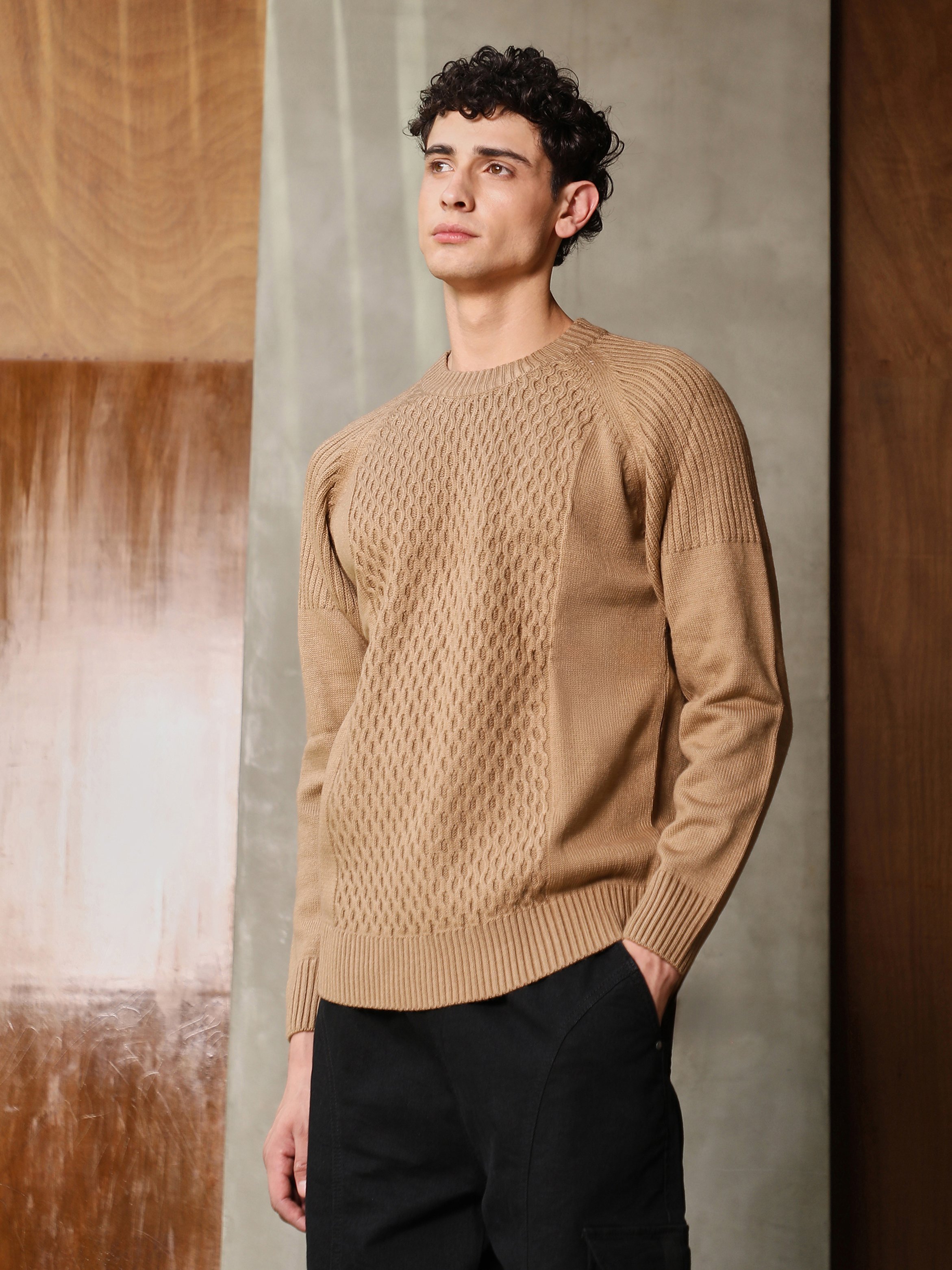 Men Camel Beige Mesh-Jacquard Knit Sweater