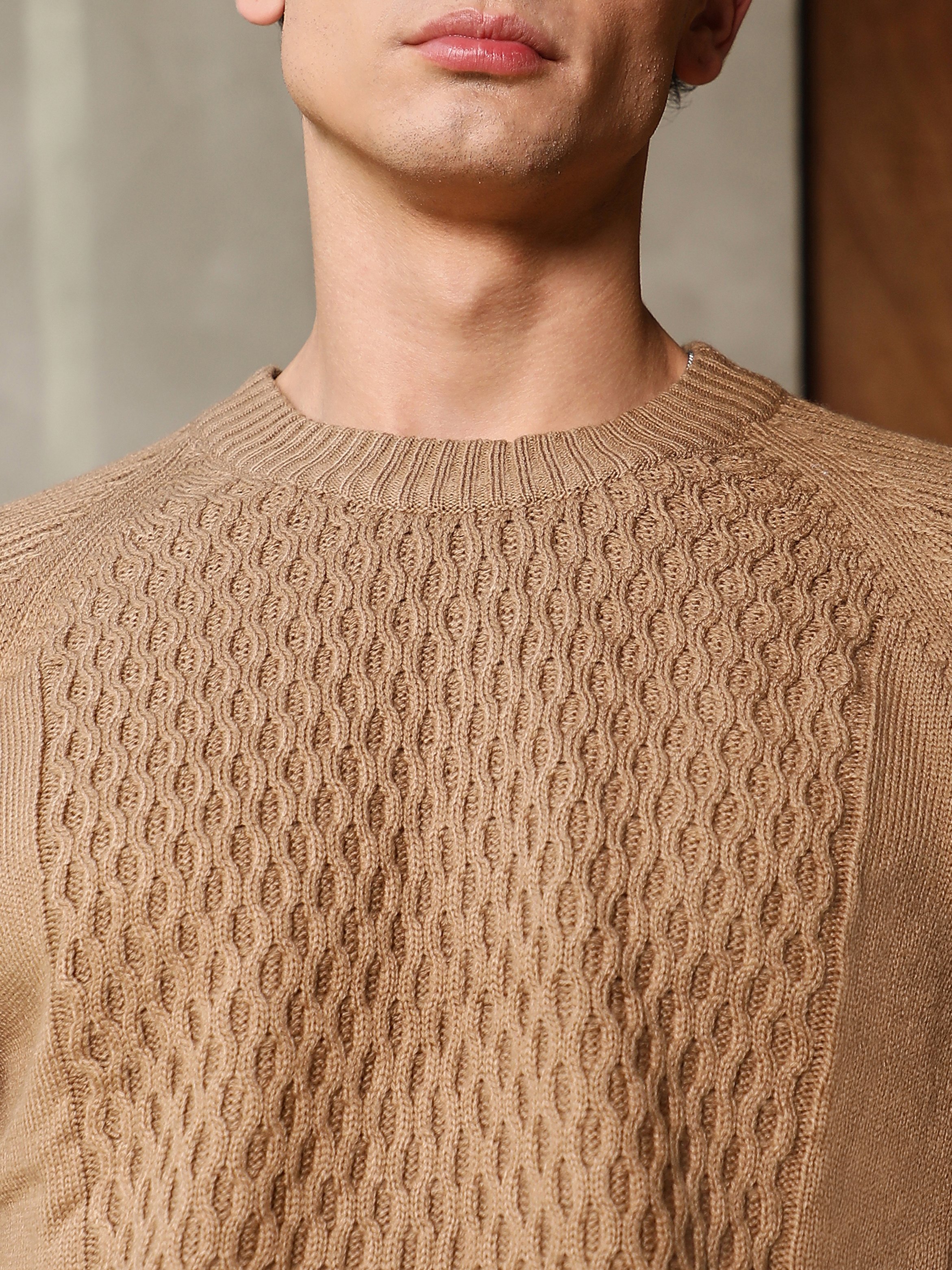 Men Camel Beige Mesh-Jacquard Knit Sweater
