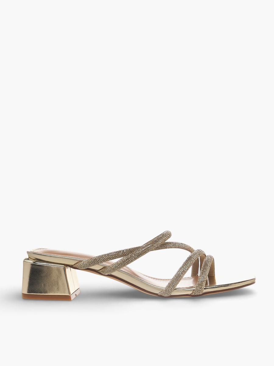 Women Embellished Strap Block Heel Sandals