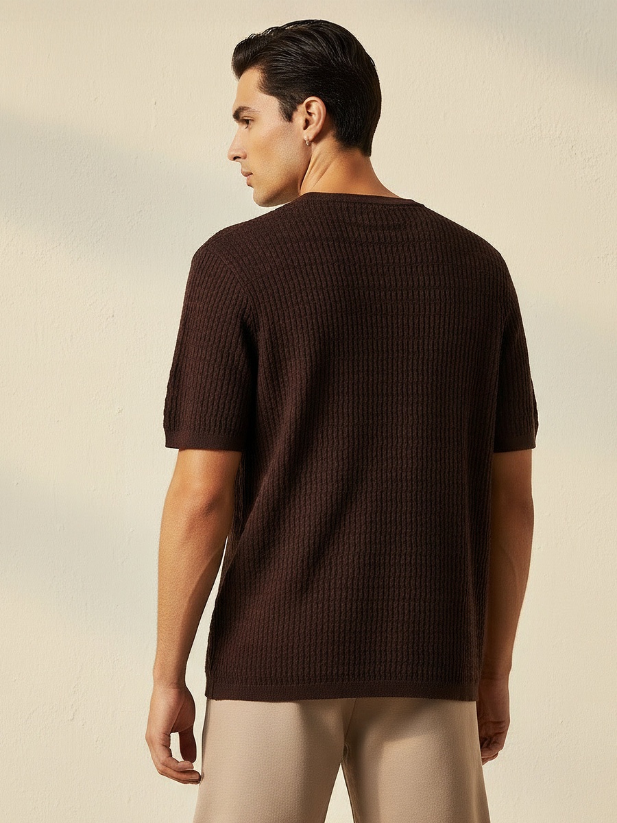 Men Regular Fit Crew Neck Short Sleeve Textured T-Shirt