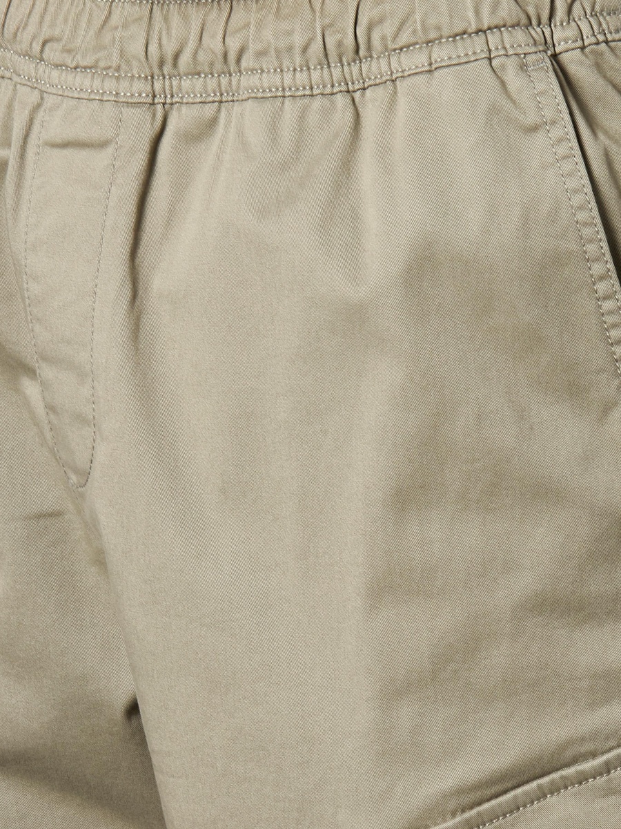 Men Regular Fit Cargo Shorts