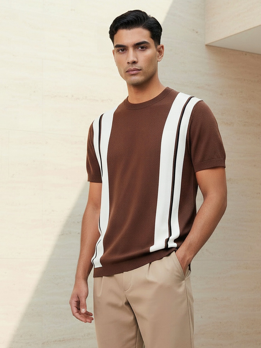 Men Regular Fit Crew Neck Short Sleeves Striped T-Shirt