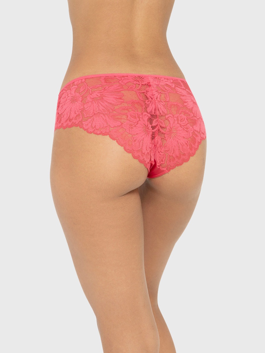 Lace Hipster Briefs