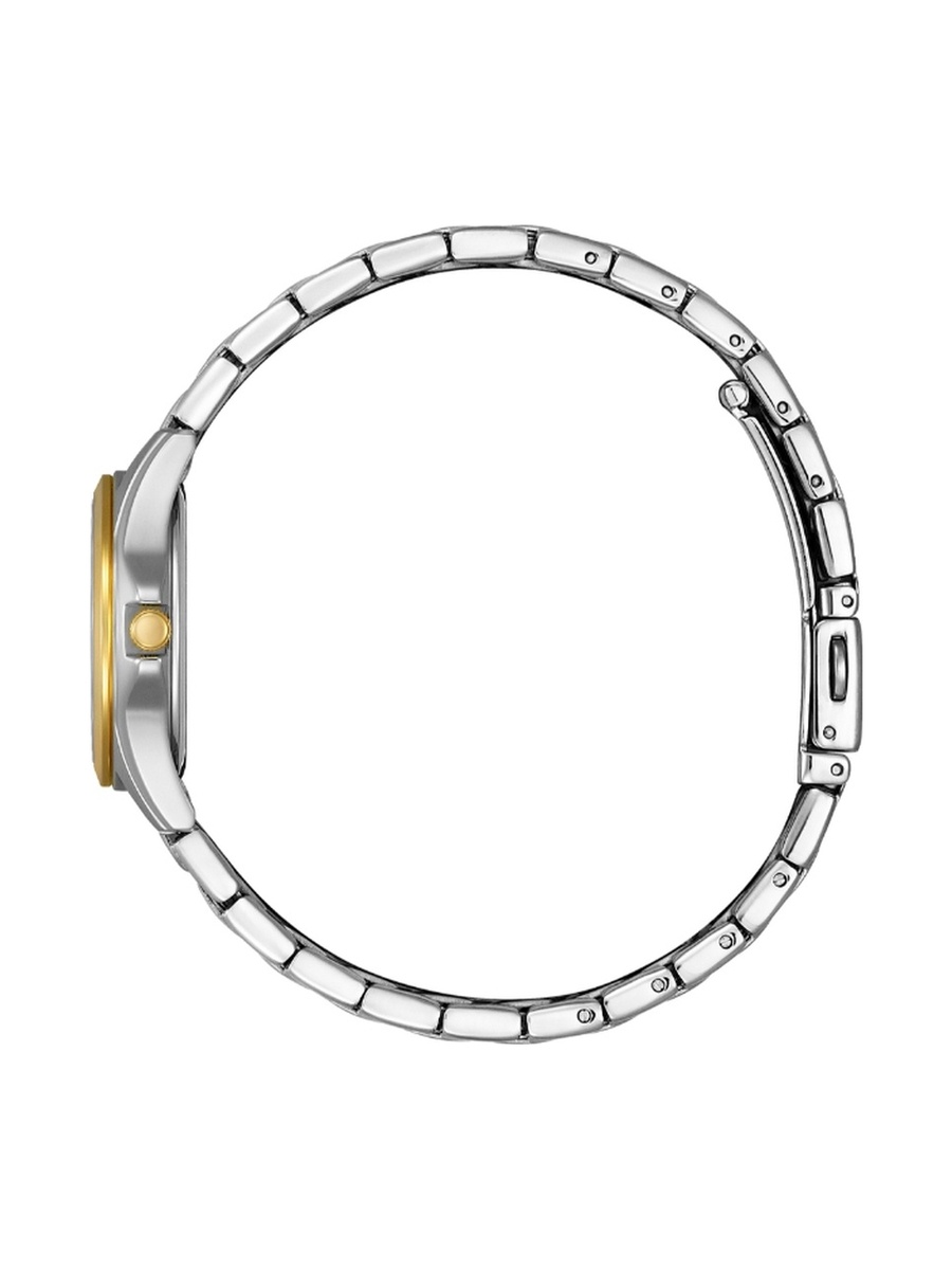 Women Automatic Movement Watch with Automatic Display and Stainless Steel Strap - EQ0614-52B, Two Tone