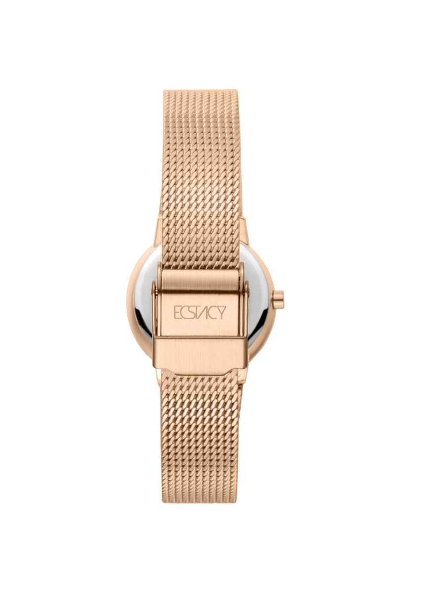 Women VJ21 Movement Watch, Analog Display and Stainless Steel Strap - E25505-RMKN, TT/RG