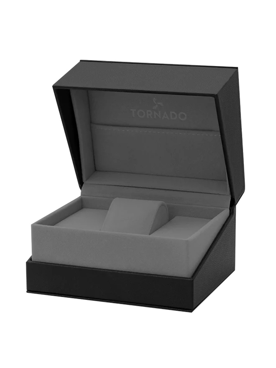 AURORA TWILIGHT Men Miyota 2315 Movement Watch with Analog Display and Brushed Finish Strap - T23003-SBSL, Silver