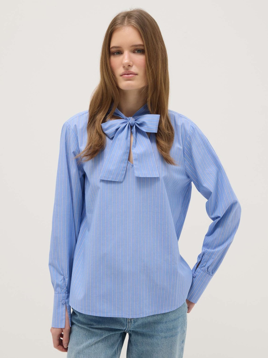 Blue Long Sleeve Blouse