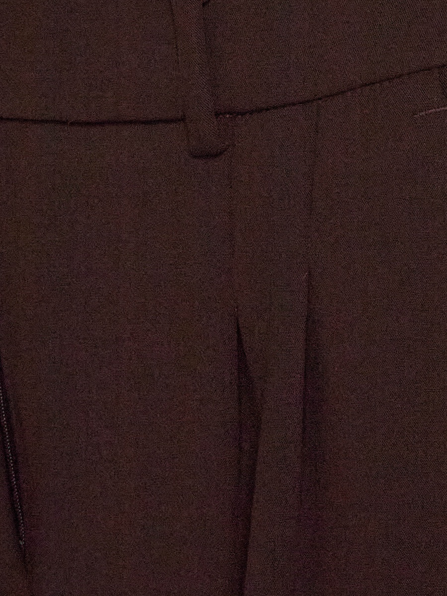 Regular Fit Pleated Pants