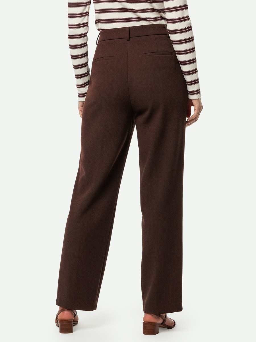 Regular Fit Pleated Pants