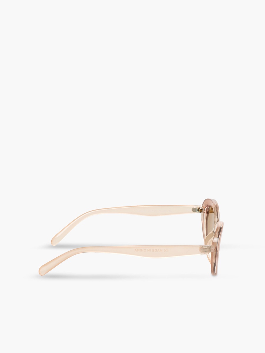Men Tinted Oval Sunglasses