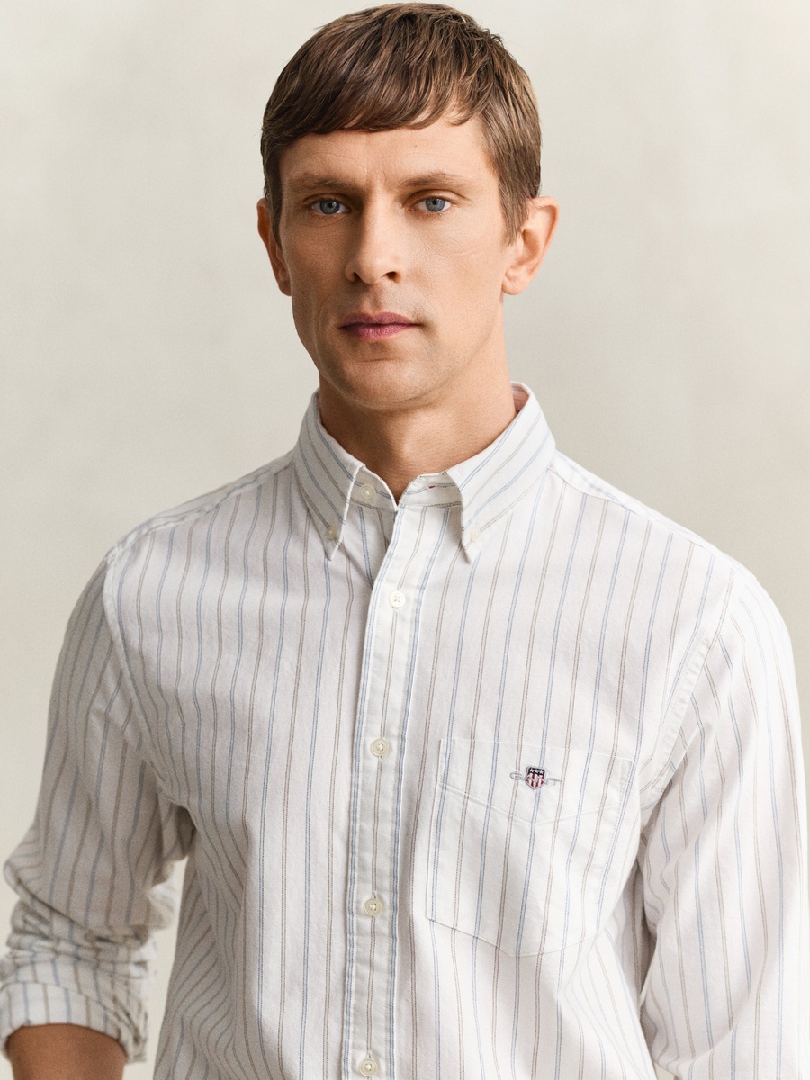 Men Regular Classic Oxford Stripe Shirt