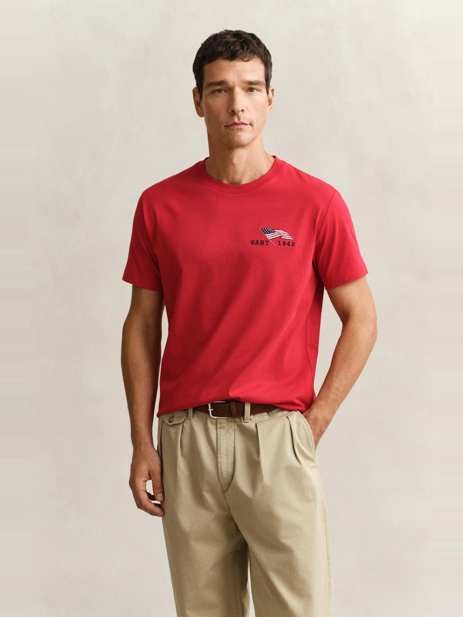 Men Graphic Short Sleeve T-Shirt