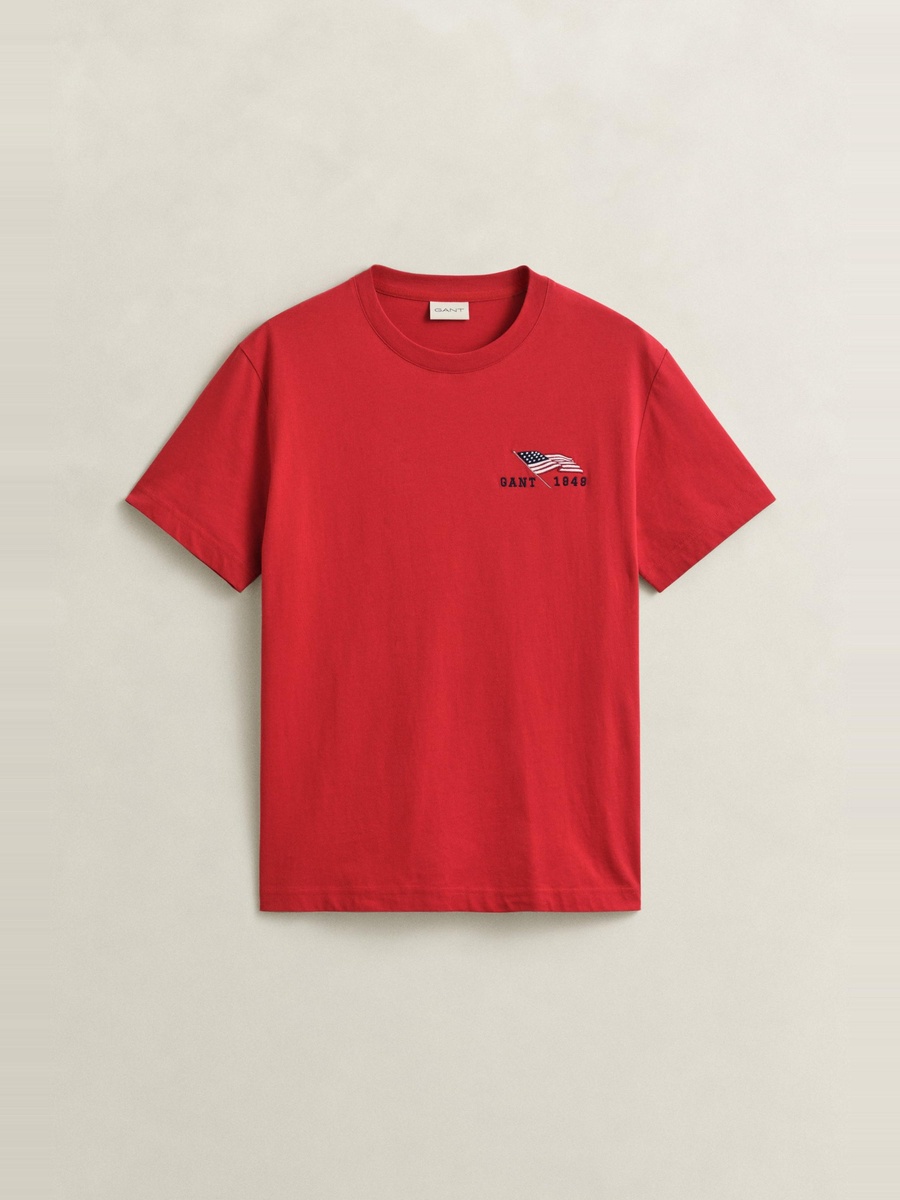 Men Graphic Short Sleeve T-Shirt