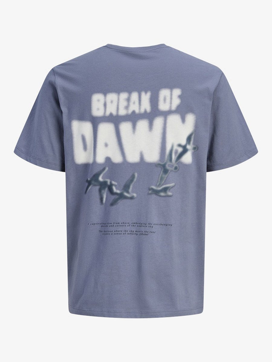 Men Grey Graphic Print Crew Neck T-Shirt