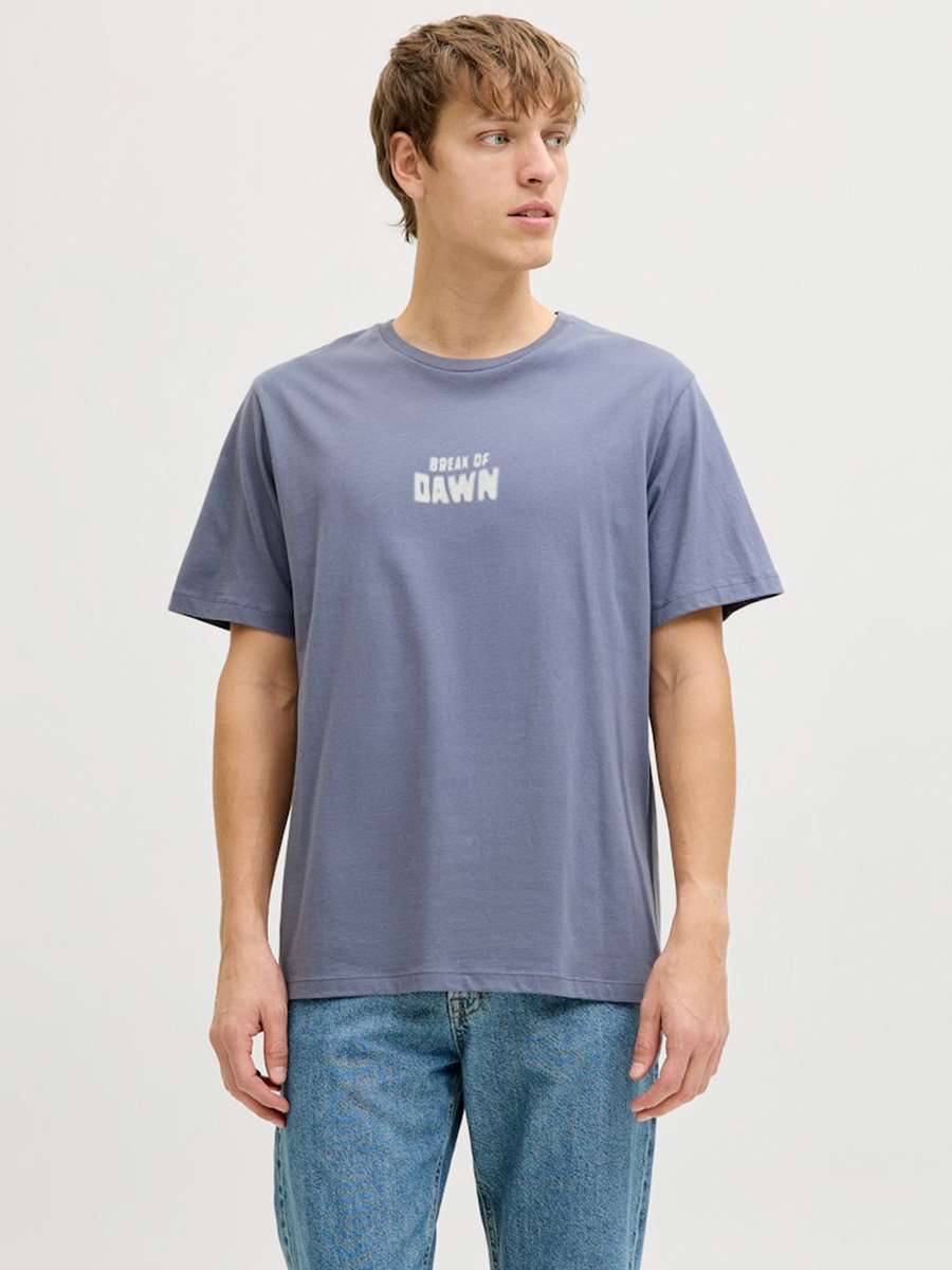 Men Grey Graphic Print Crew Neck T-Shirt