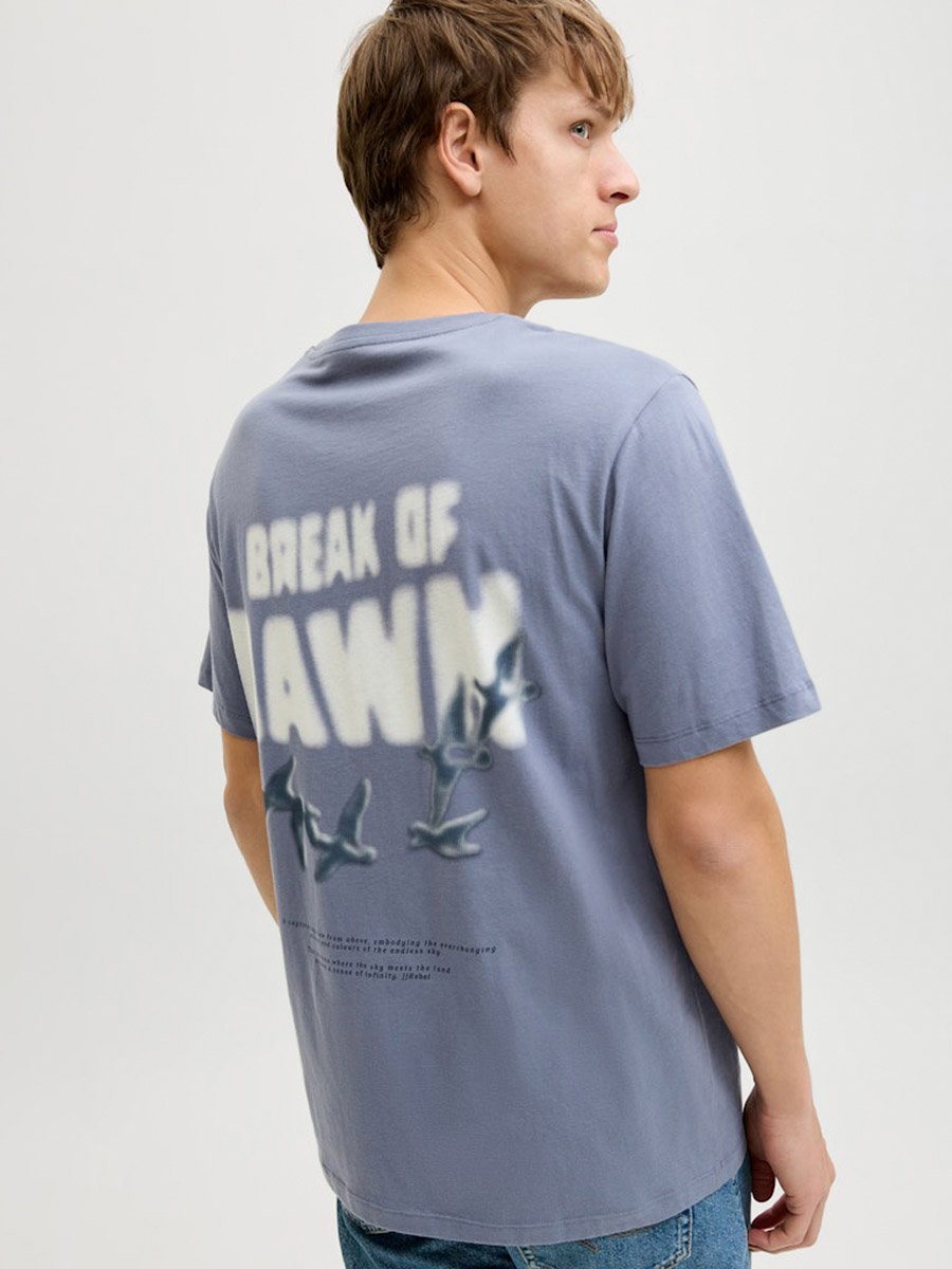 Men Grey Graphic Print Crew Neck T-Shirt