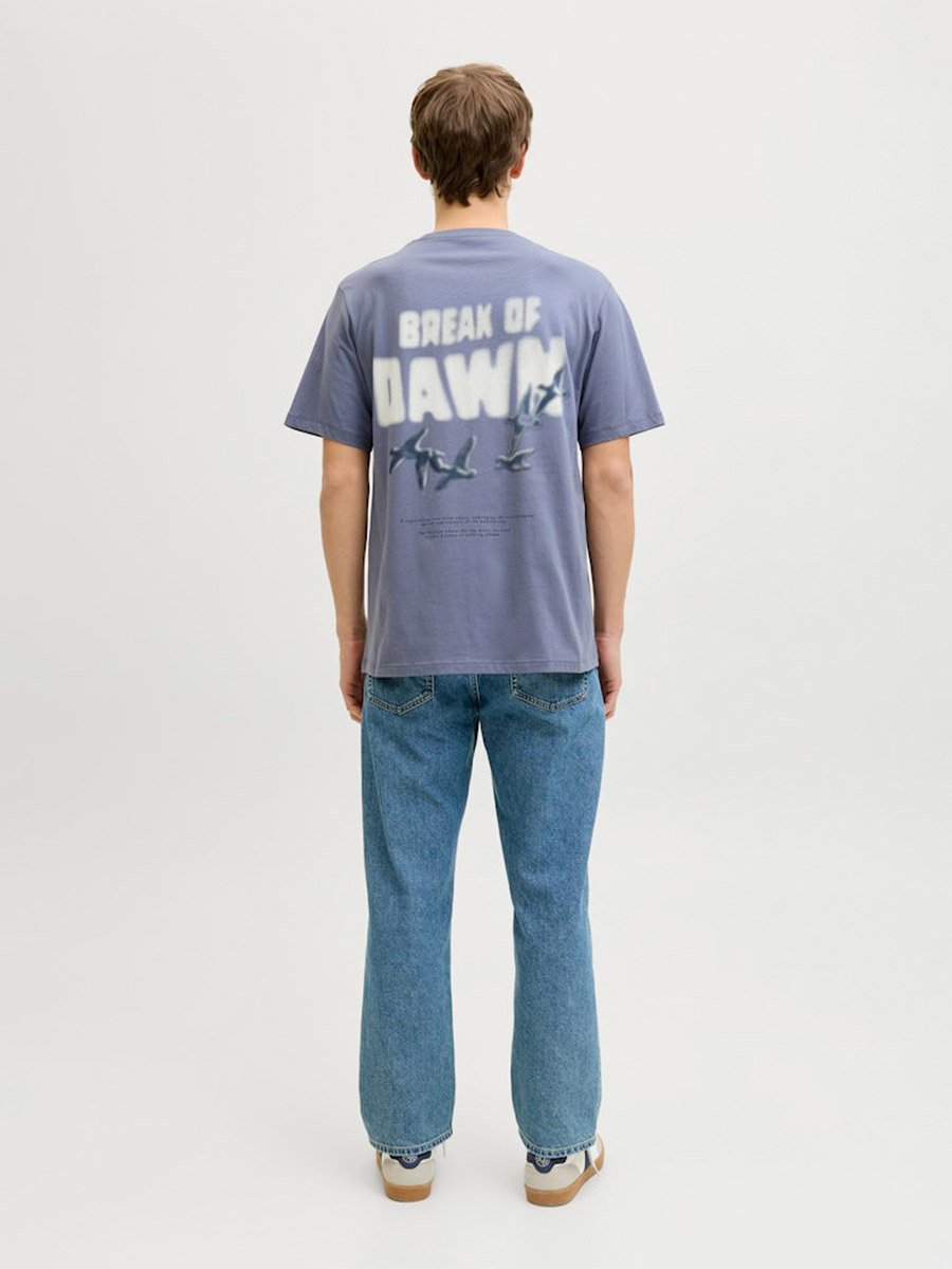 Men Grey Graphic Print Crew Neck T-Shirt