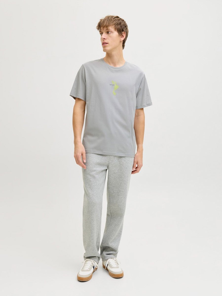 Men Grey Graphic Cotton Crew Neck T-Shirt