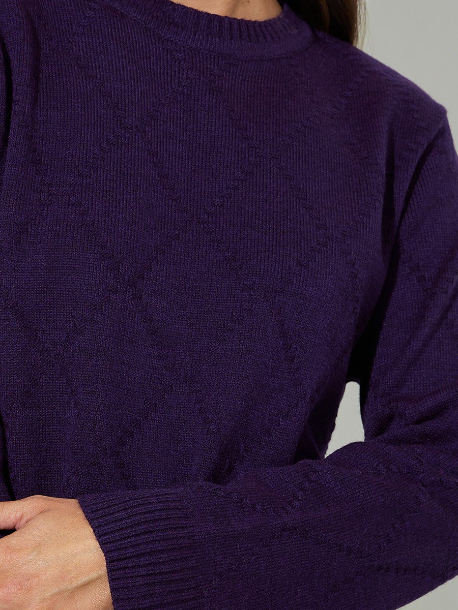 Purple Textured Long Sleeves Regular Fit Sweater 