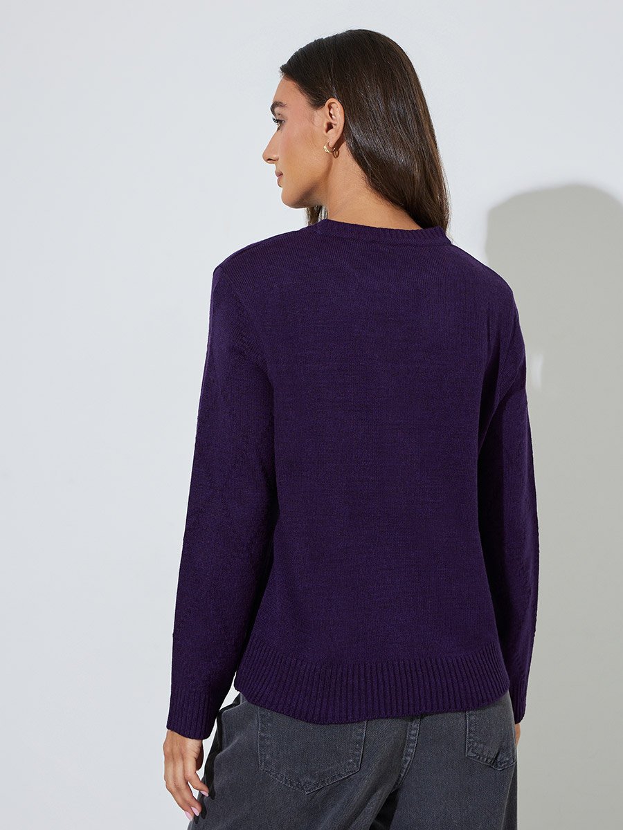 Purple Textured Long Sleeves Regular Fit Sweater 