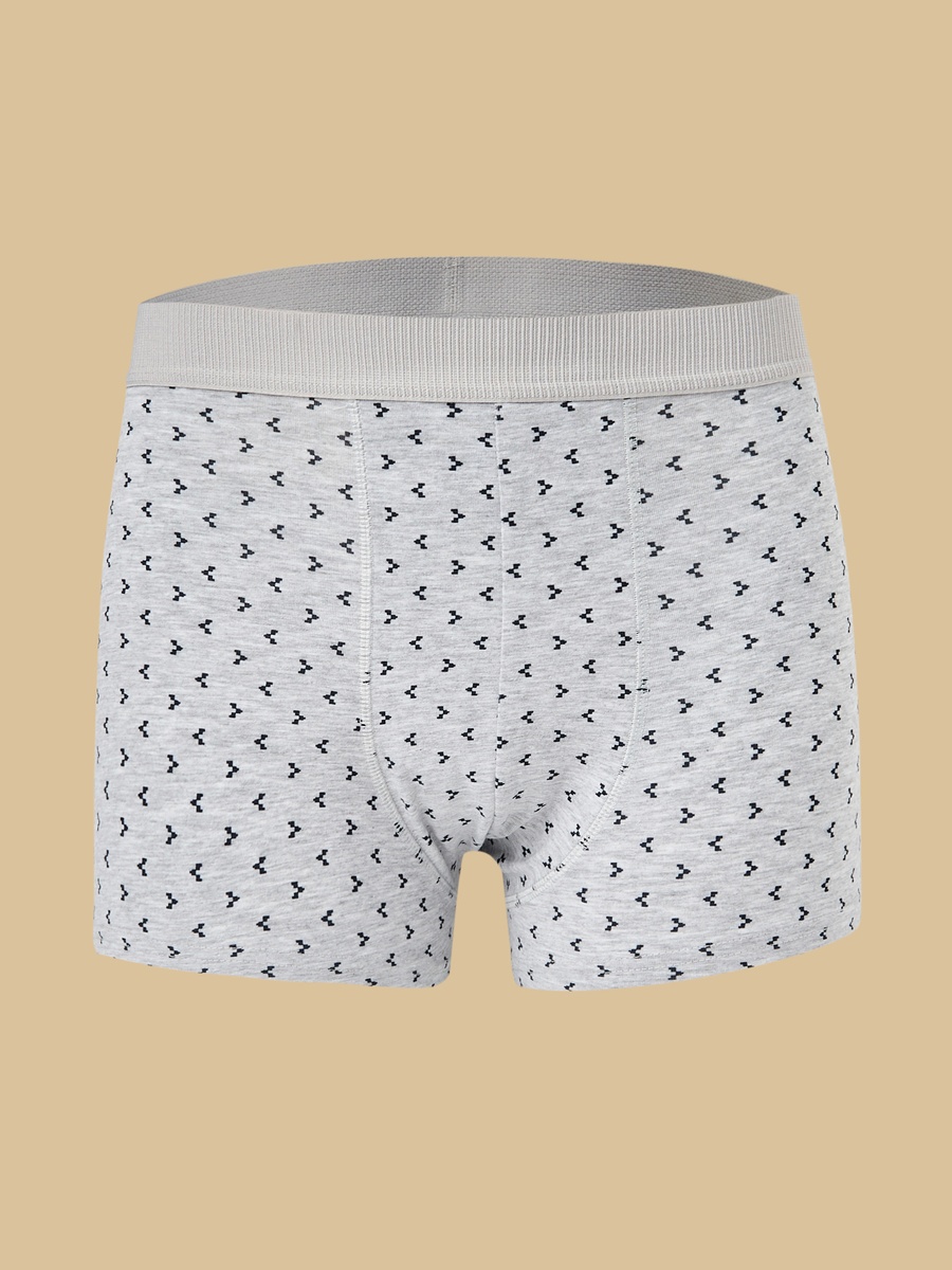 Pack of 3 - Assorted Hipster Trunks