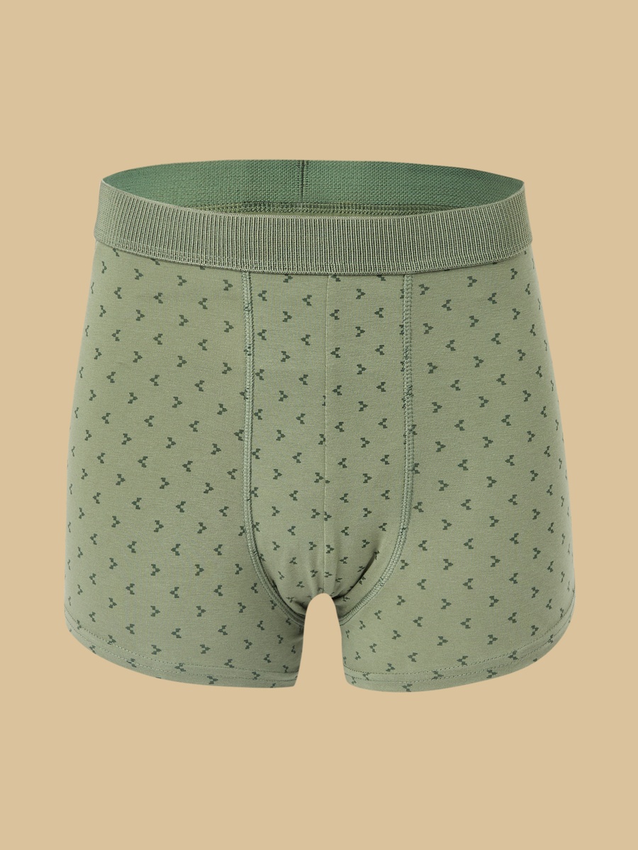 Pack of 3 - Assorted Hipster Trunks
