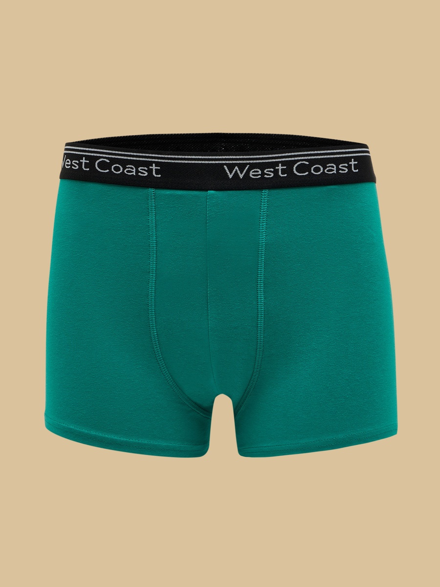 Pack of 3 - Hipster Trunks