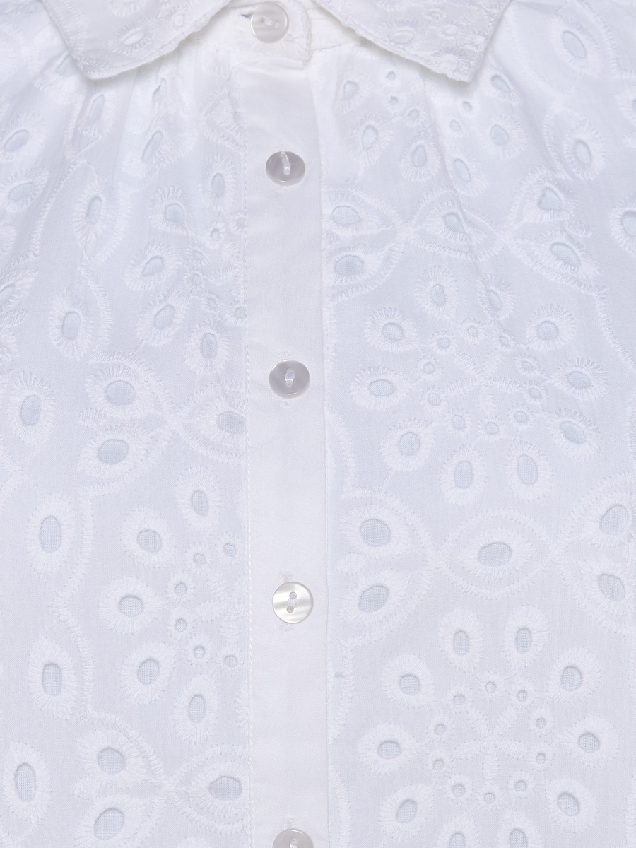 A-Line Knee-Length Cotton Dress with Schiffli Embroidery