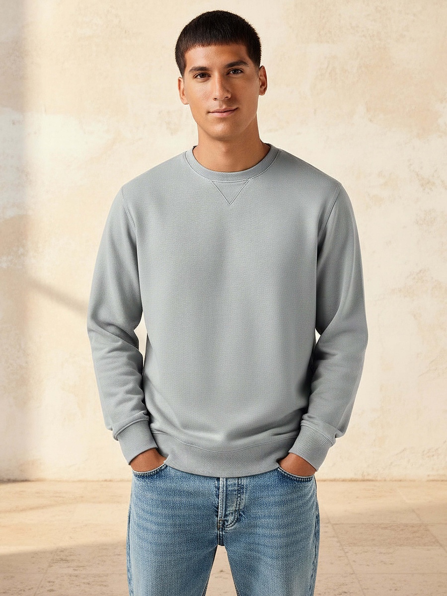 Men Regular Fit Crew Neck Sweatshirt