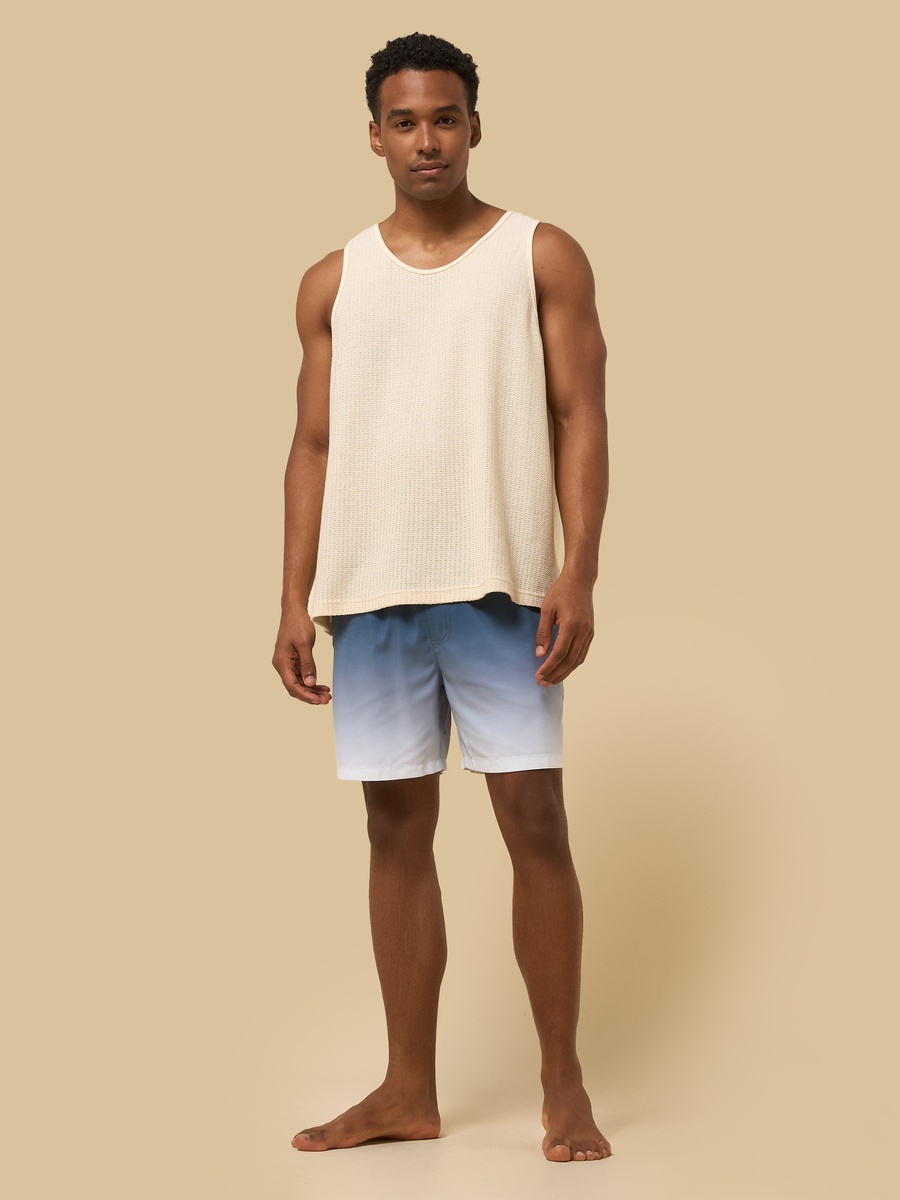 Ombre Swim Shorts