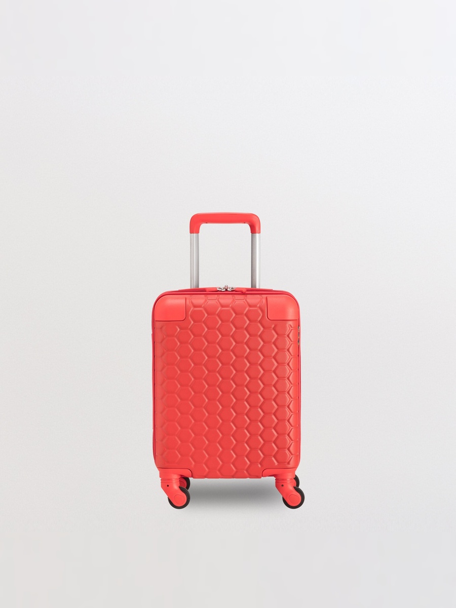 Baby Turtle Small Hard Trolley Bag