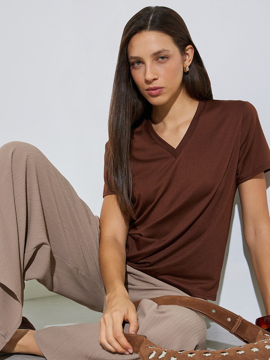 Brown Plain V Neck Regular Fit T-Shirt