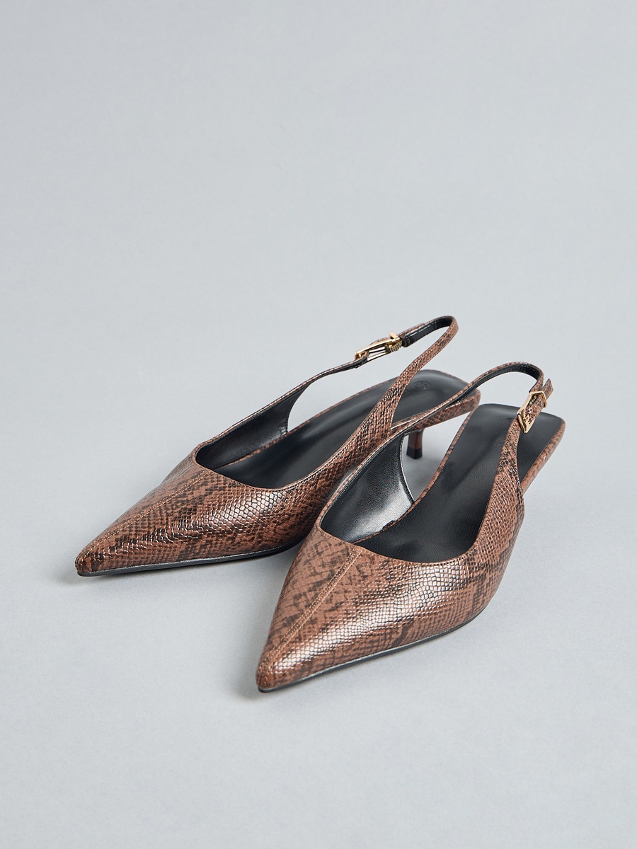 Pointed Toe Shoes with Buckle Closure