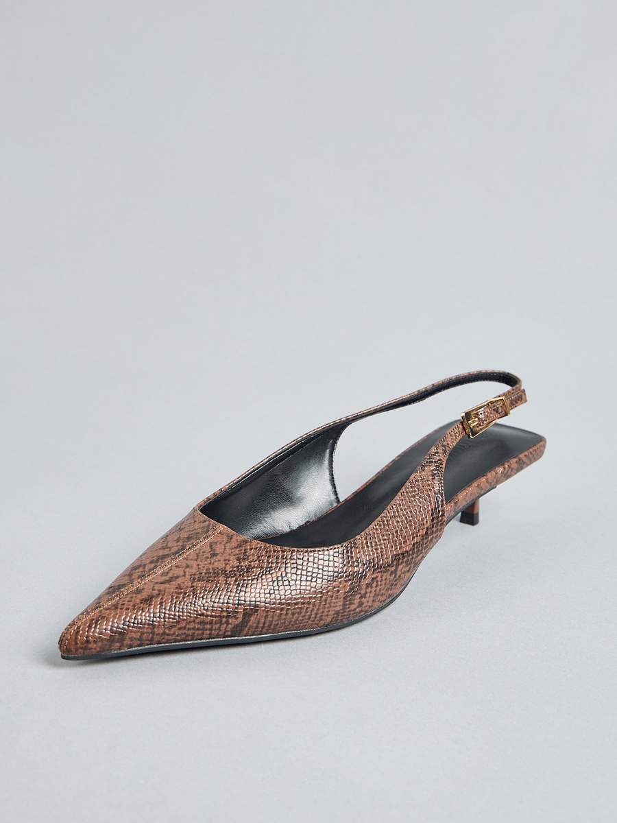 Pointed Toe Shoes with Buckle Closure