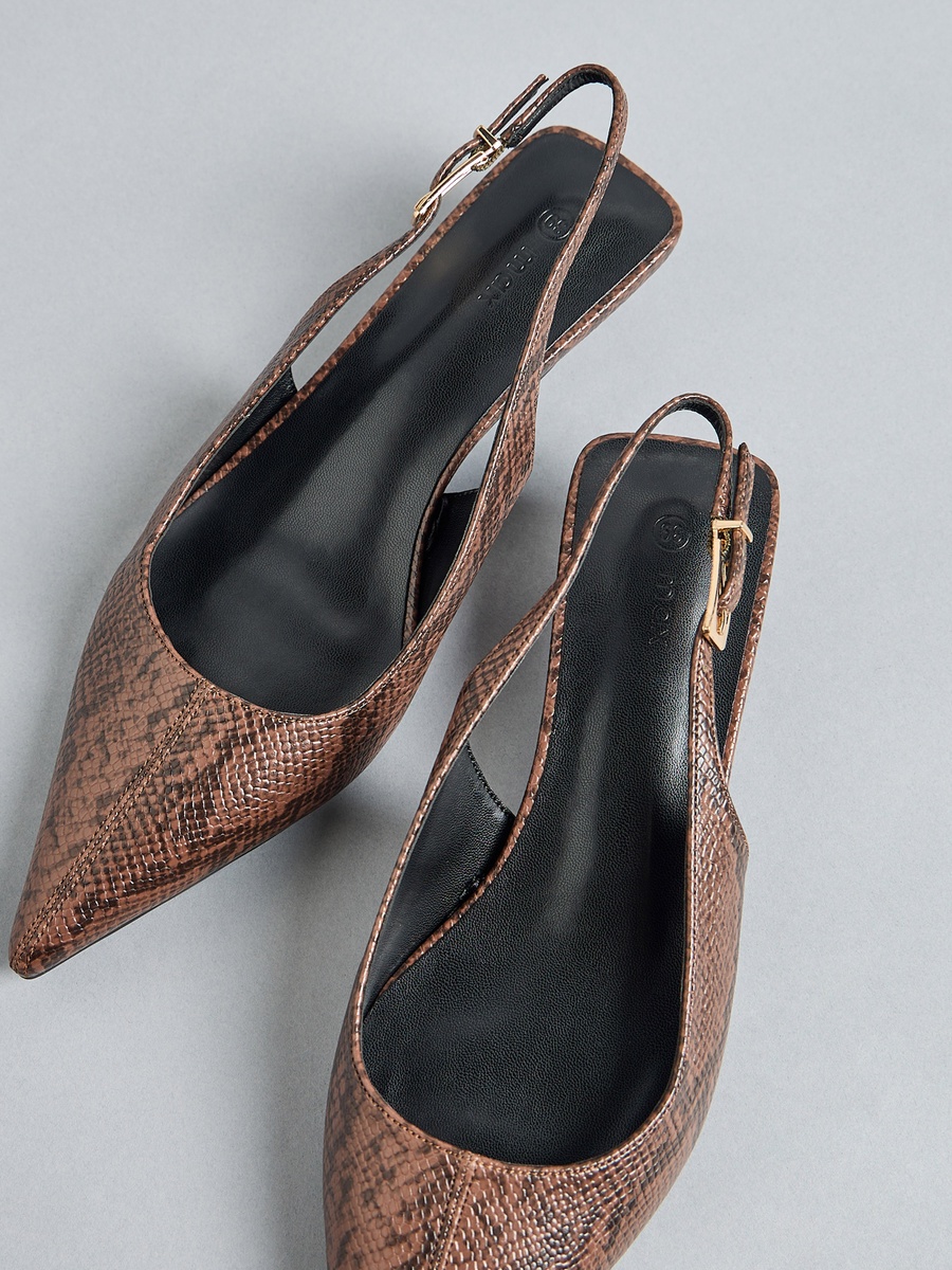 Pointed Toe Shoes with Buckle Closure