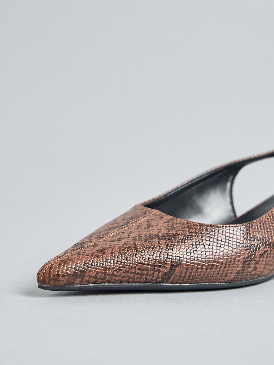 Pointed Toe Shoes with Buckle Closure