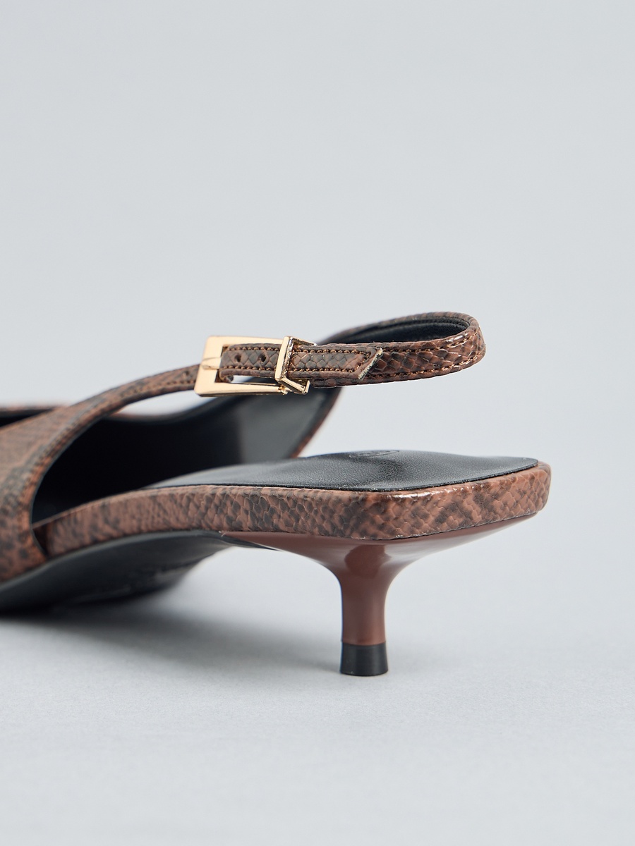 Pointed Toe Shoes with Buckle Closure