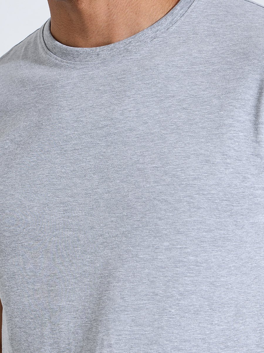 Men Grey Crew Neck Regular Fit T-Shirt