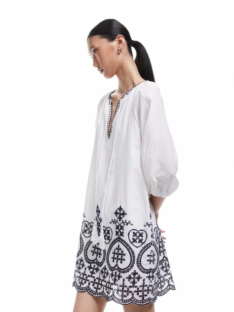 Embroidered Mini Dress