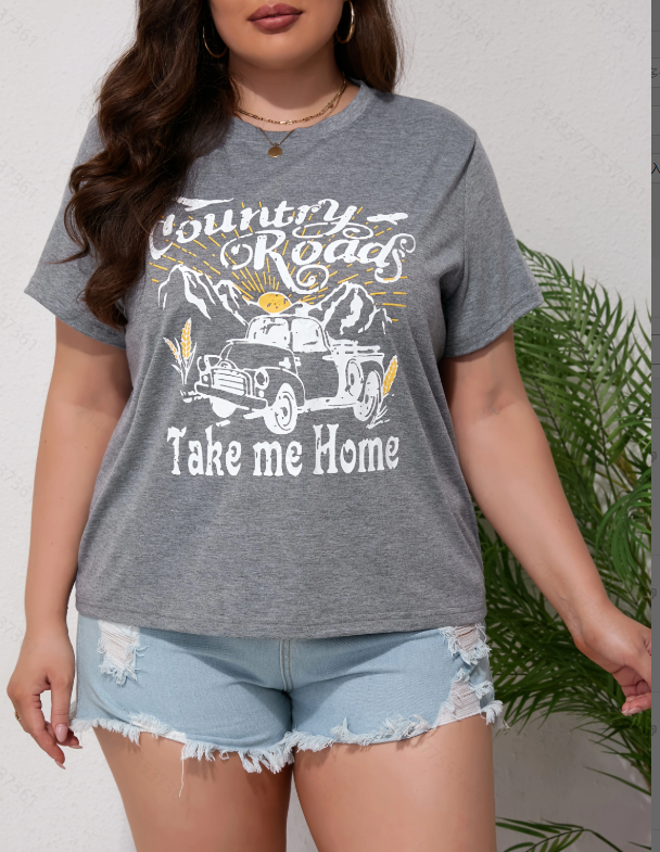 Plus Size Grey Short Sleeve Graphic T-Shirt