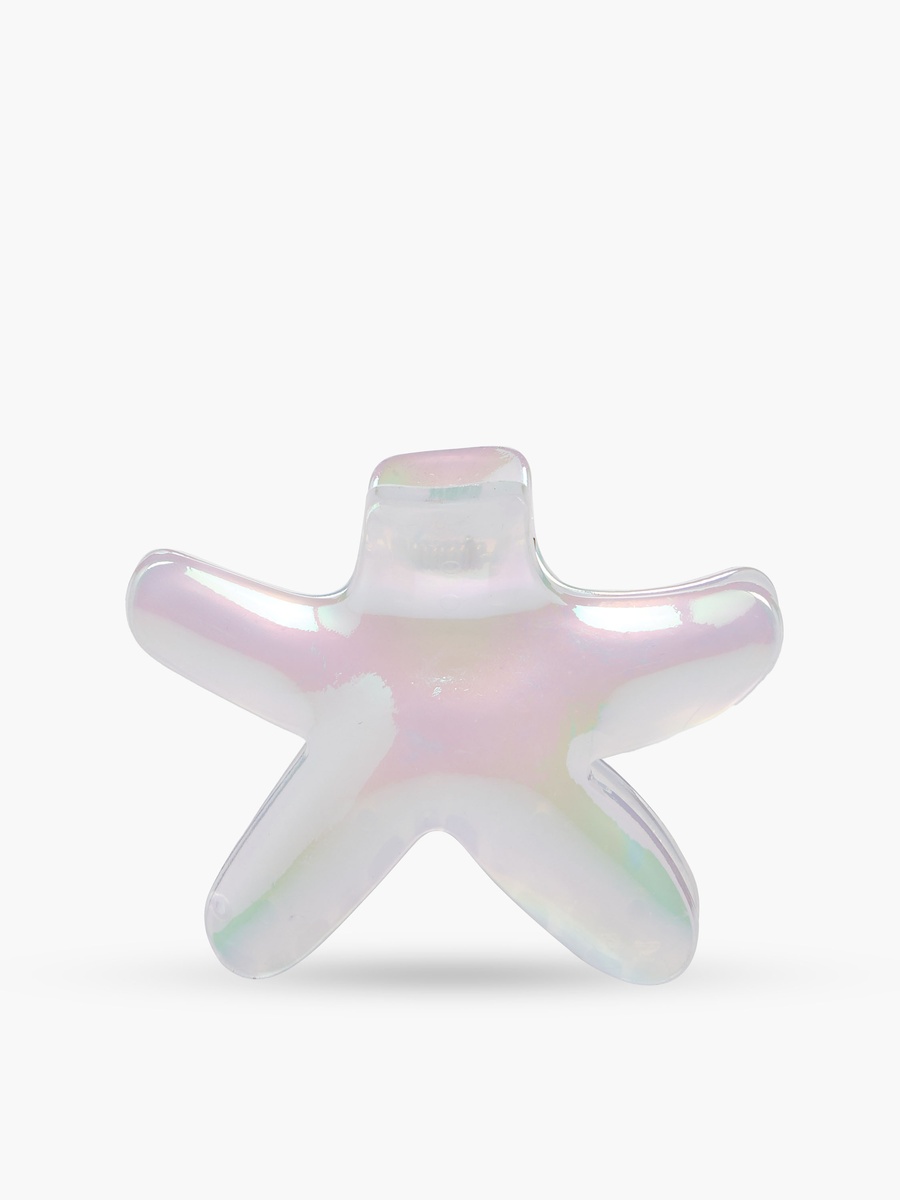 Pack of 2 Assorted Hair Clamp with Glossy Finish
