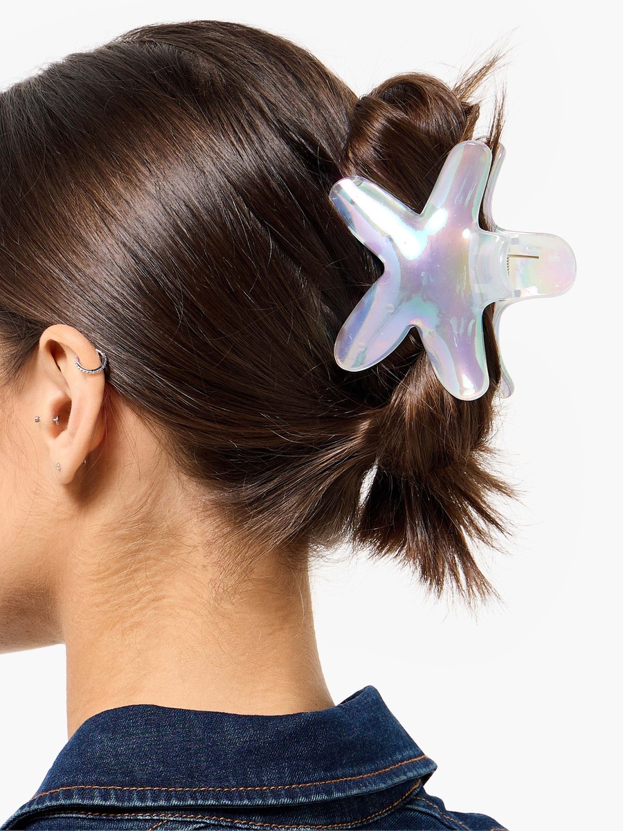 Pack of 2 Assorted Hair Clamp with Glossy Finish