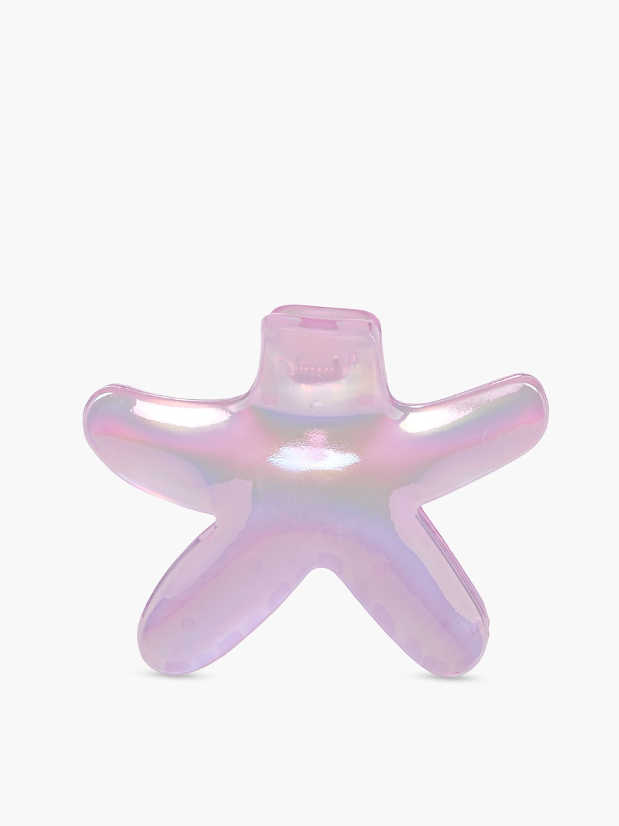 Pack of 2 Assorted Hair Clamp with Glossy Finish