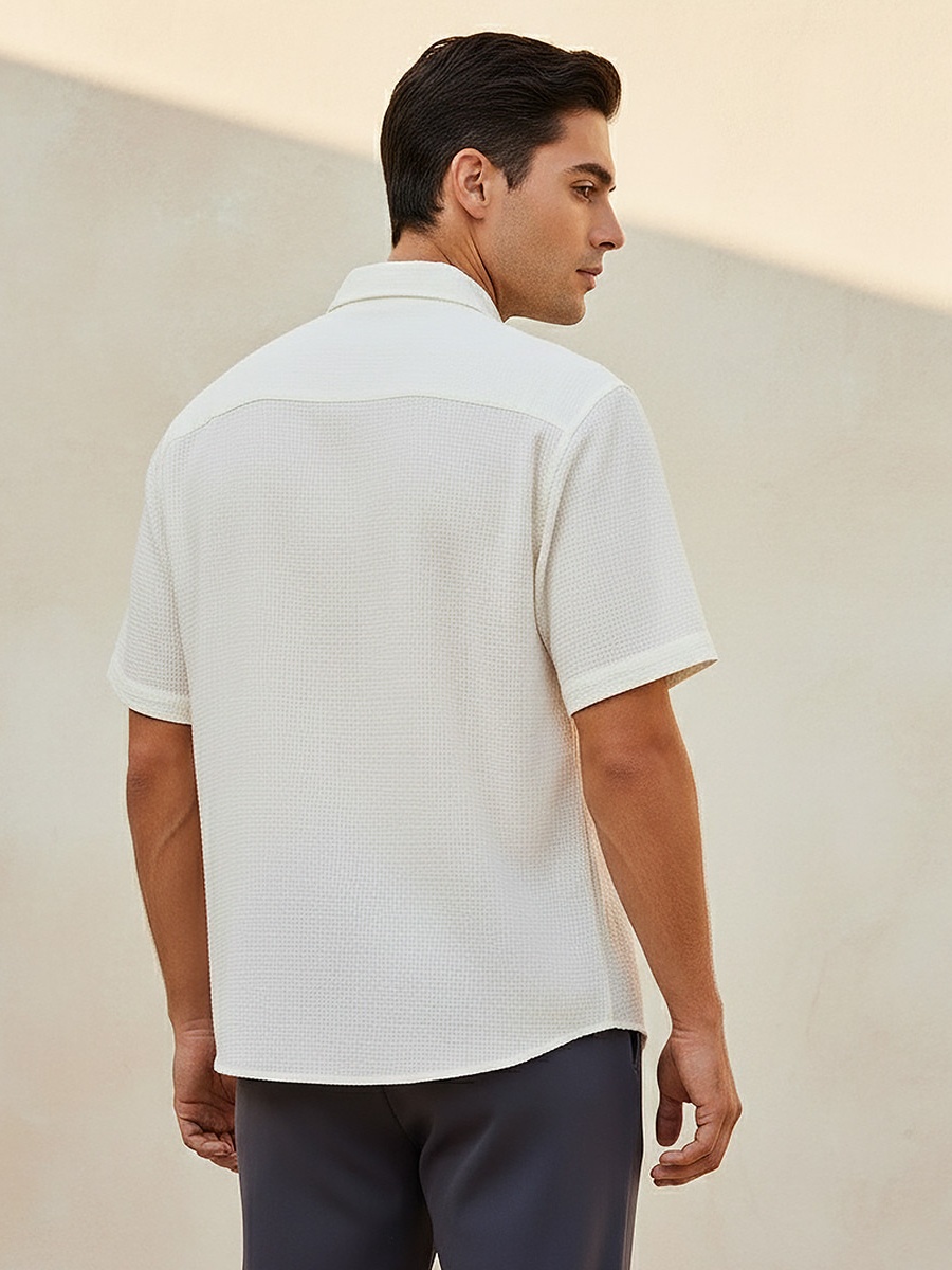 Men Regular Fit Collared Textured Short Sleeves Shirt