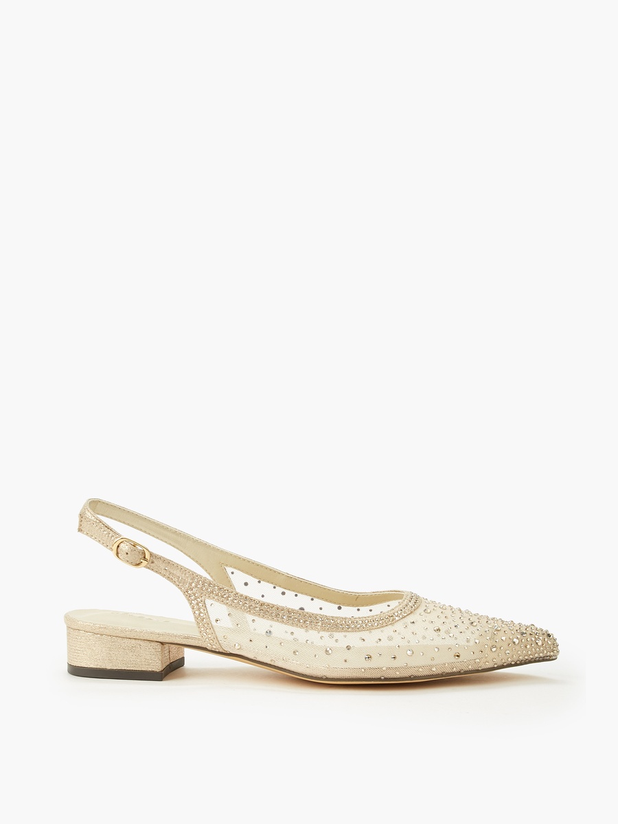 Women Embellished Buckle Closure Pointed Toe Shoes