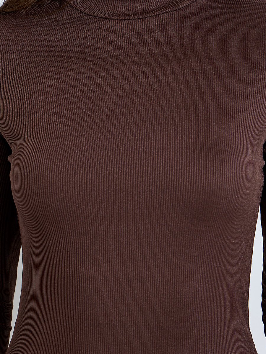 Burgundy Solid Fitted High Neck Knit Top